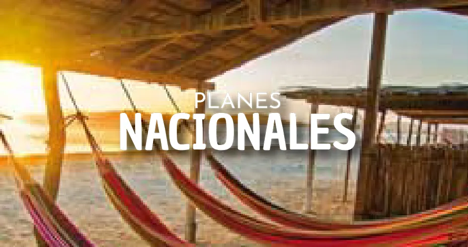 INICIO - Alcurnia 360